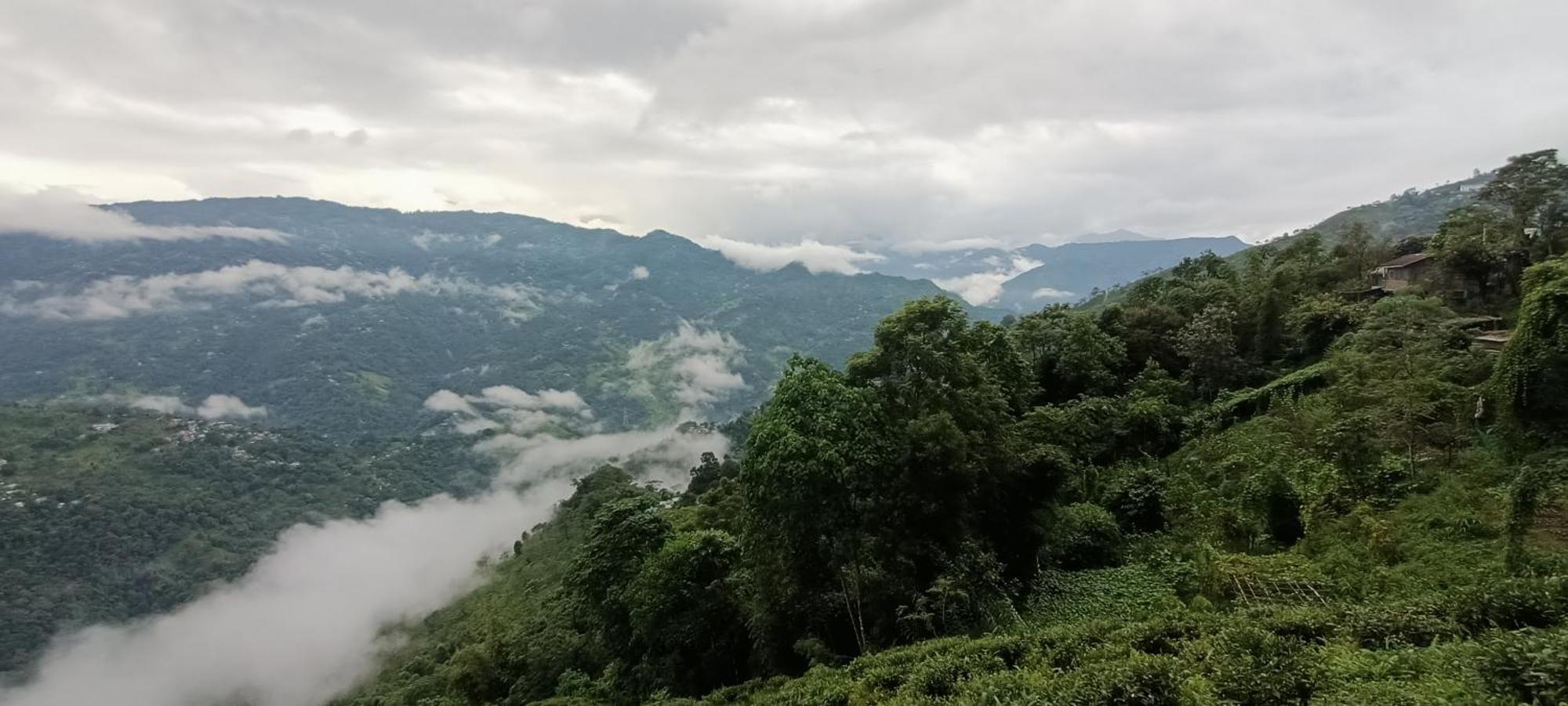 Tharbaling Homestay Darjeeling  Ngoại thất bức ảnh
